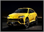 Lamborghini Urus, Przód, Żółte, 2018